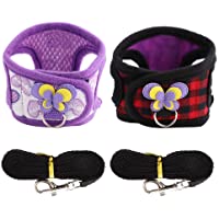Los mejores  - HEEPDD Arnés para Animales pequeños Chinchilla Chaleco con arnés para Caminar con Juego de Correas con una Linda…